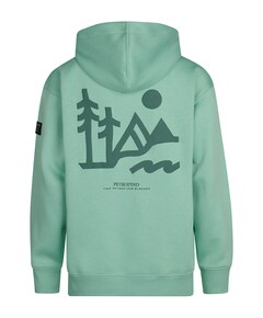 Hoodie groen
