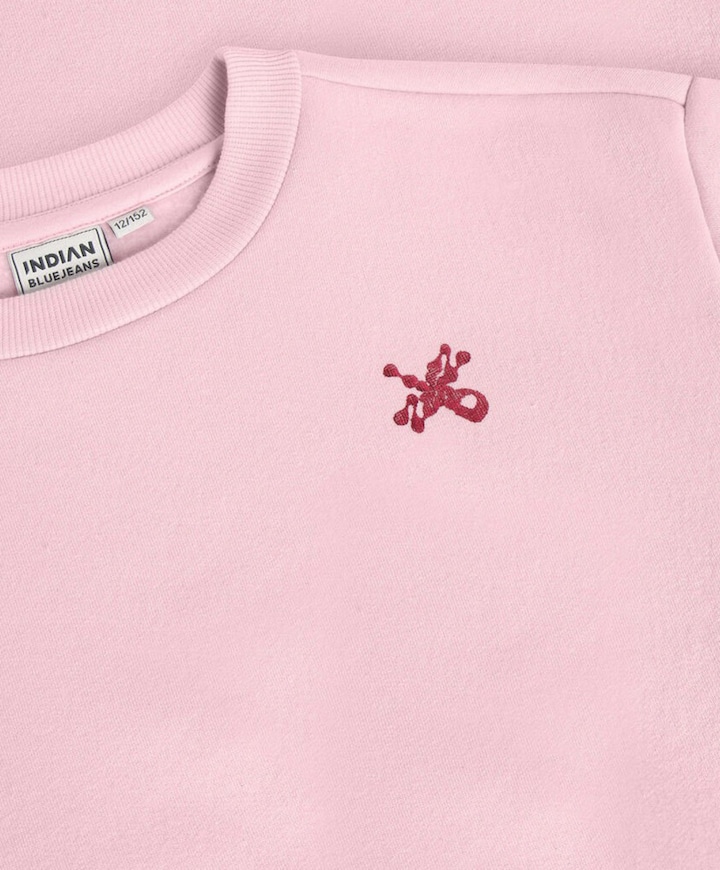 Meisjes sweater roze