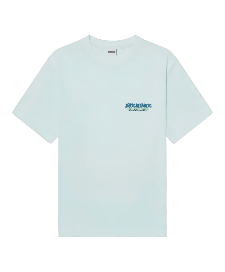 Heren T-shirt blauw