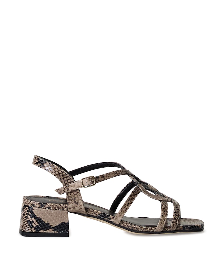 dames sandalets bruin