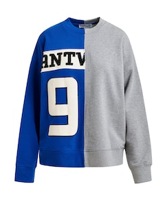 Dames sweater blauw