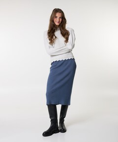 Dames rok blauw