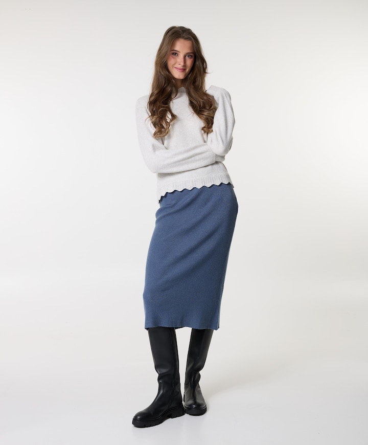 Dames rok blauw