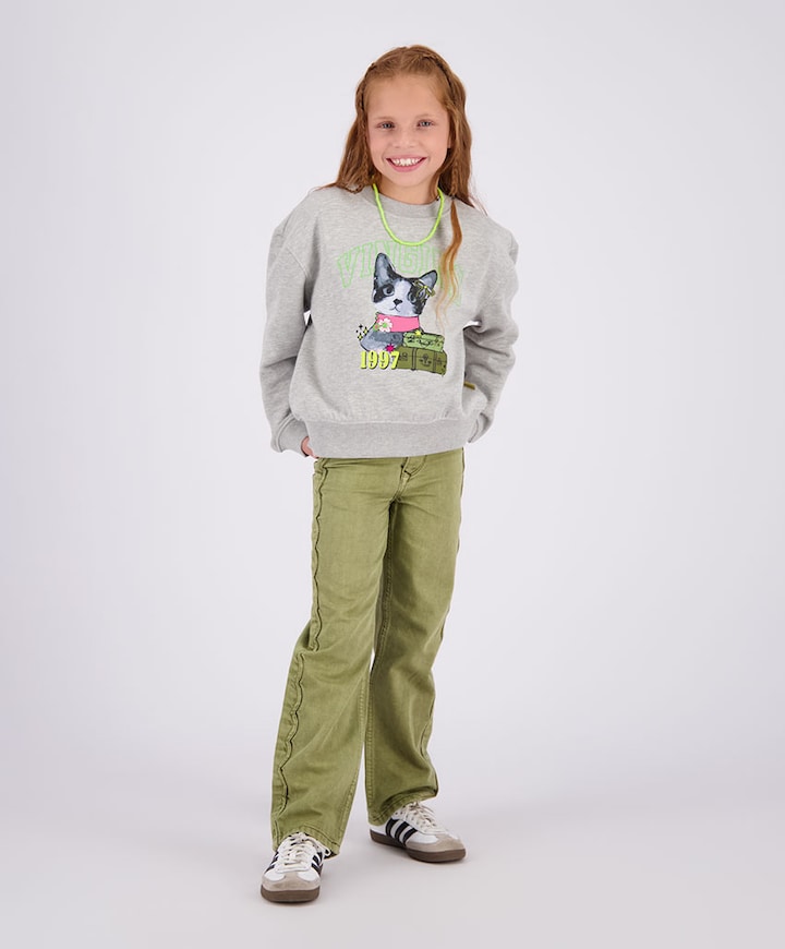 Meisjes sweater grijs