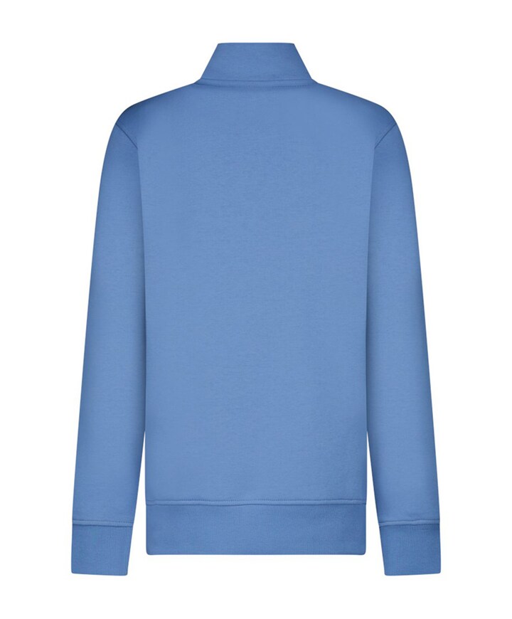Jongens longsleeve grijs
