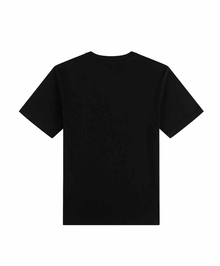 Heren t-shirt zwart