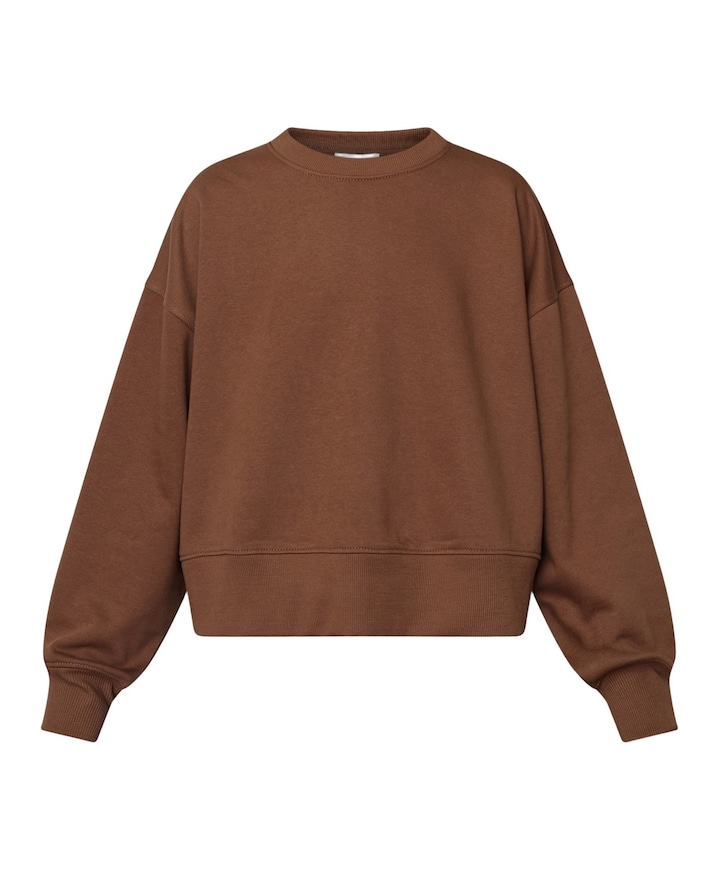 Dames sweater bruin
