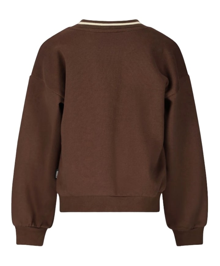 Meisjes sweater bruin