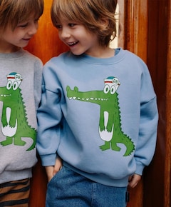 Jongens sweater blauw