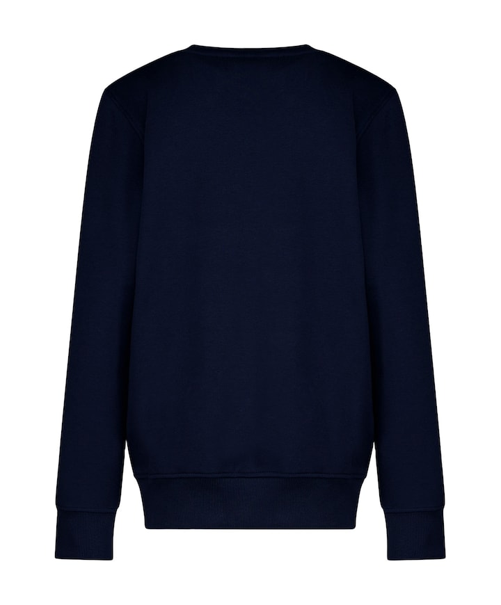 Jongens sweater blauw