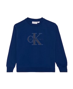 Jongens sweater blauw