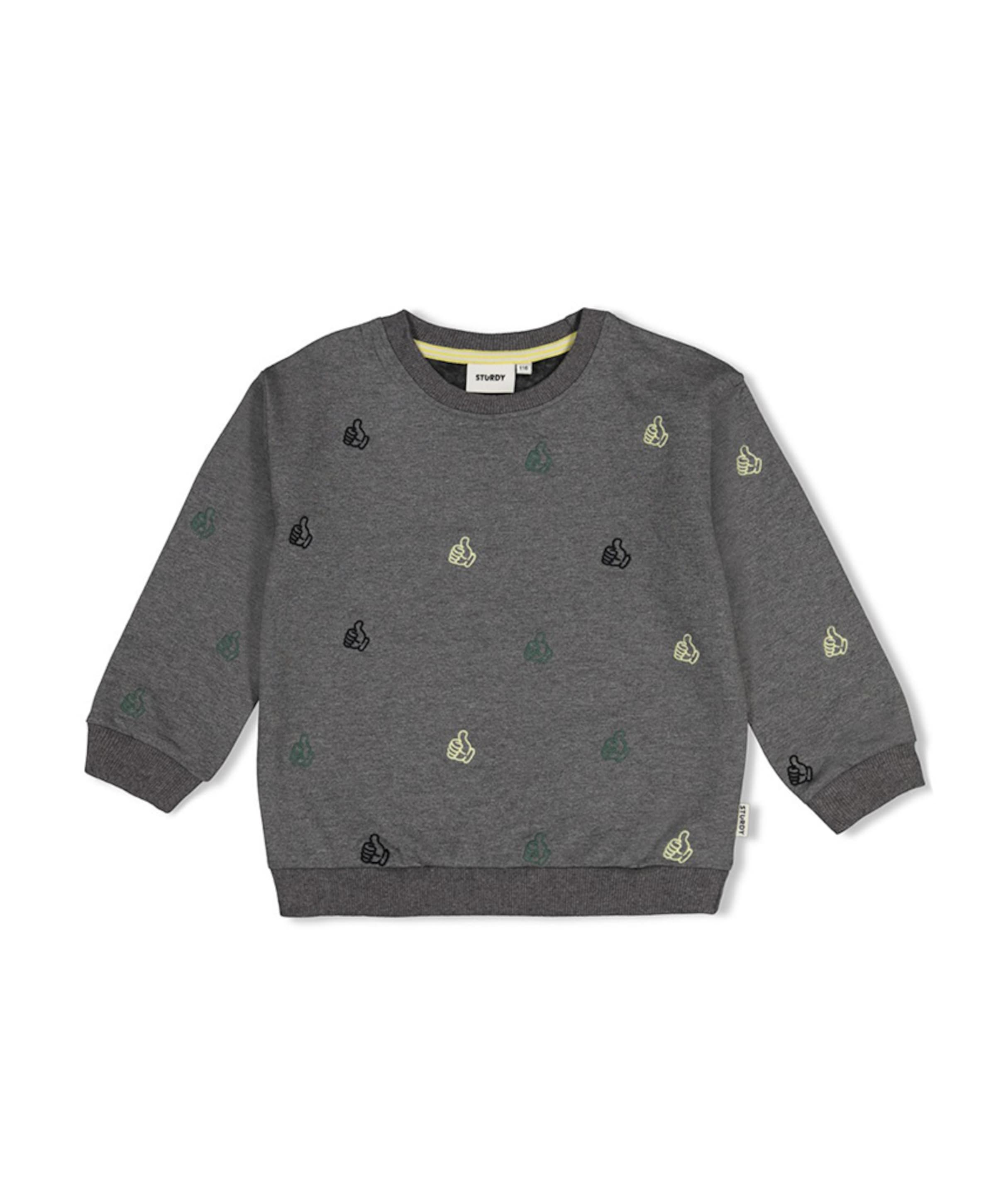 Jongens sweater grijs