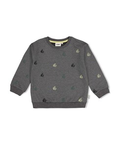 Jongens sweater grijs