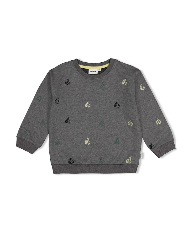 Jongens sweater grijs