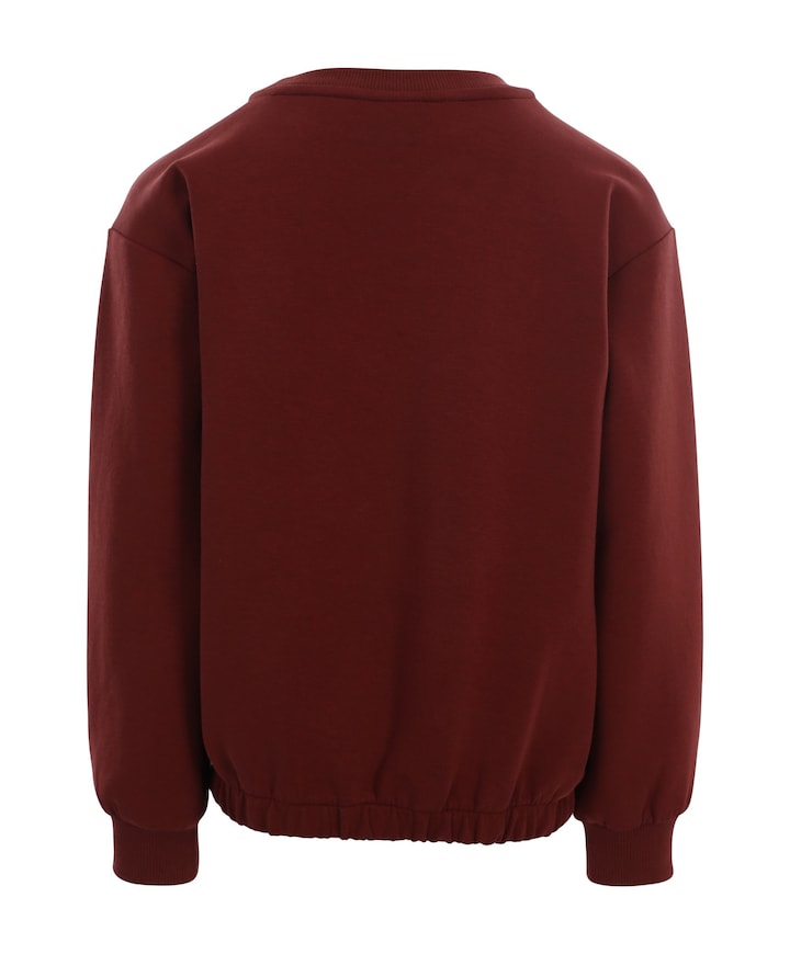 Meisjes sweater bruin