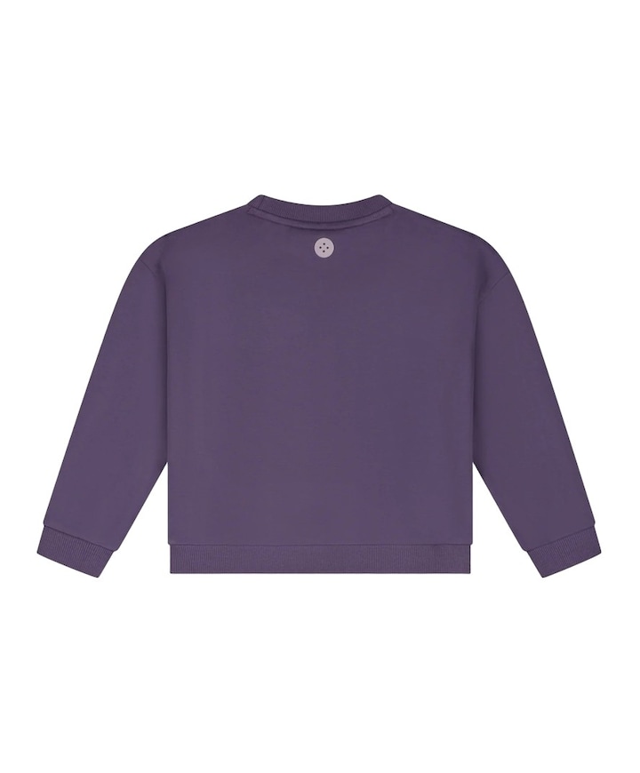 Meisjes sweater paars