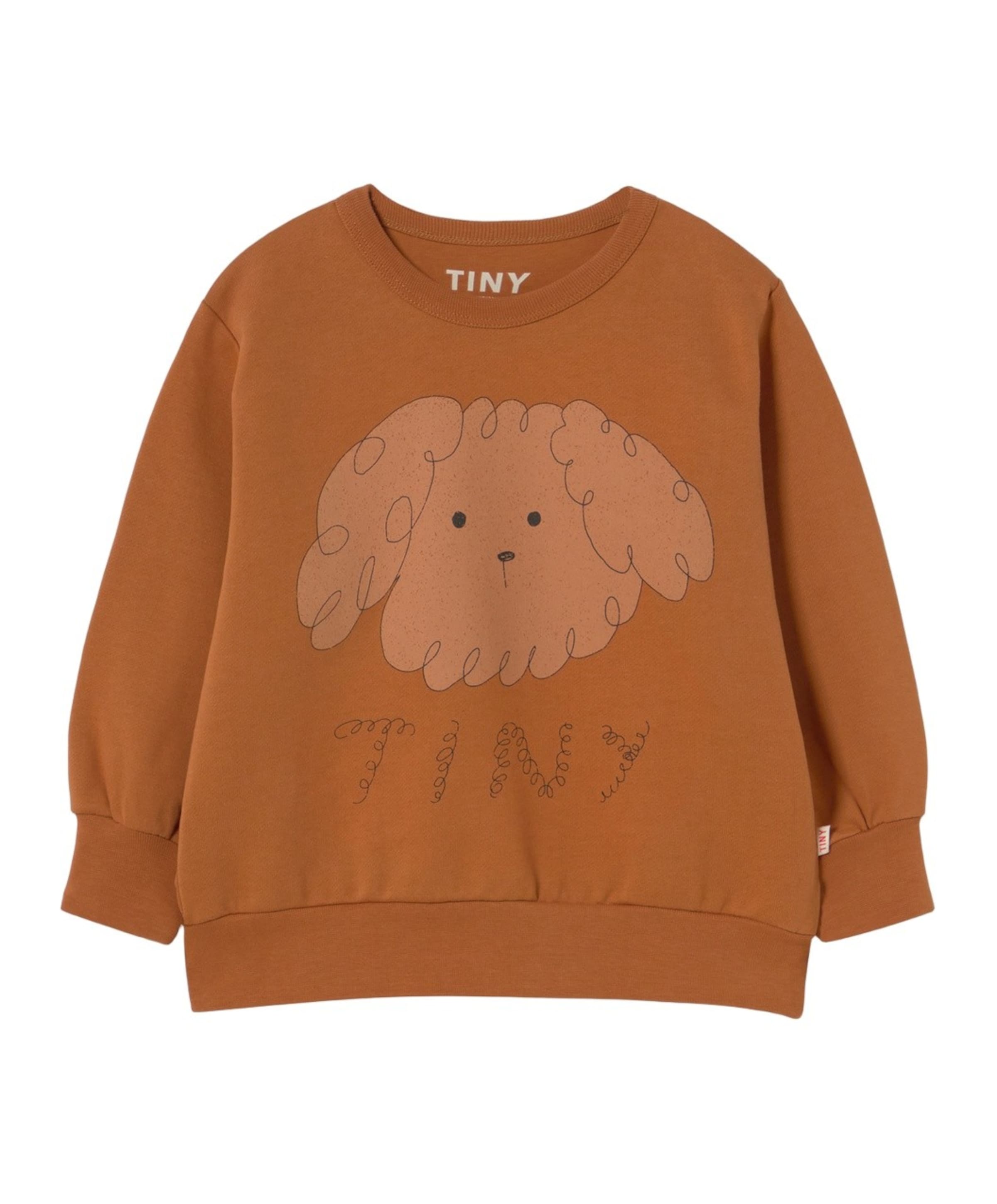 Jongens sweater bruin