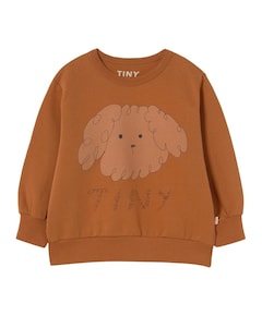 Jongens sweater bruin