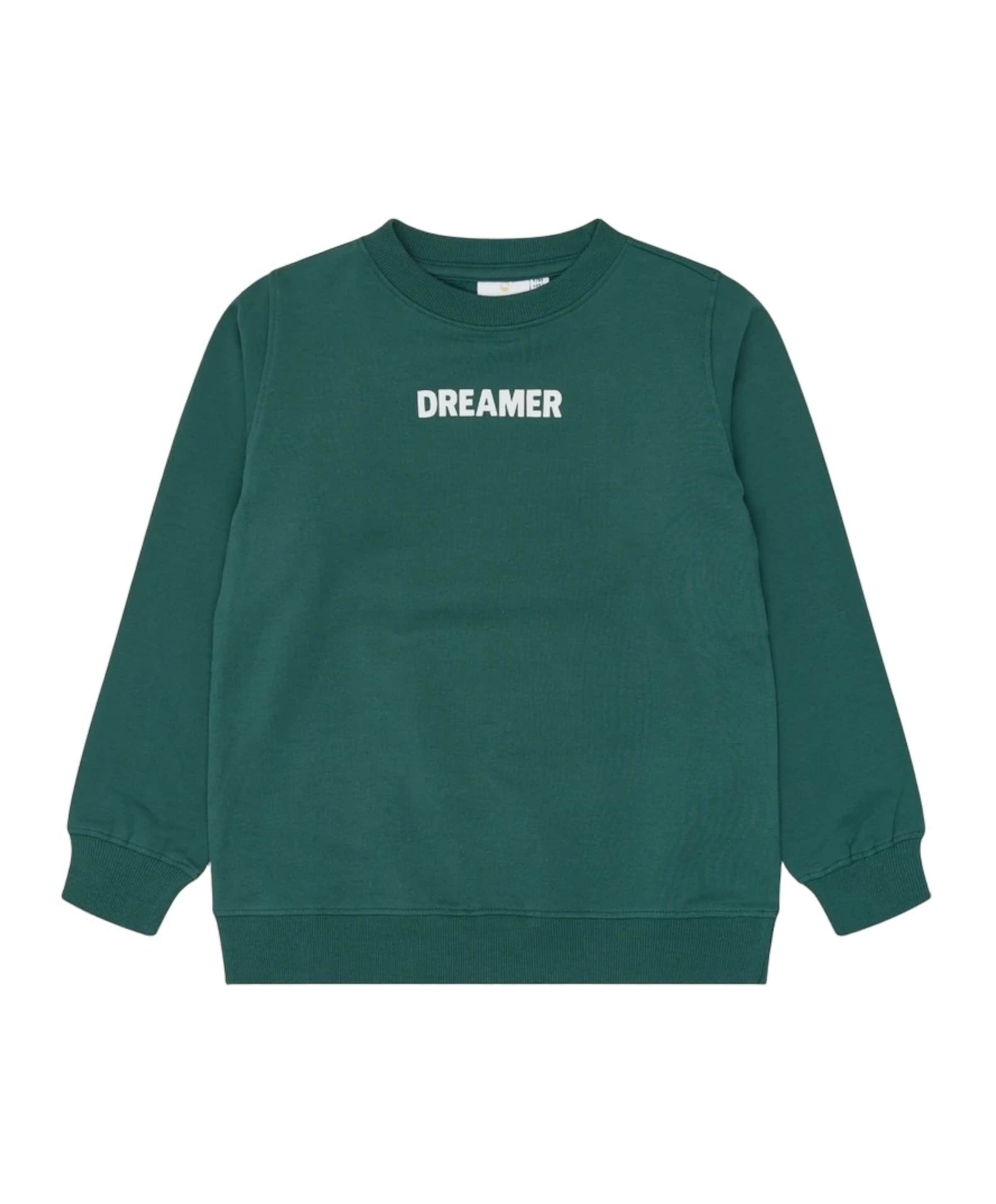Jongens sweater groen