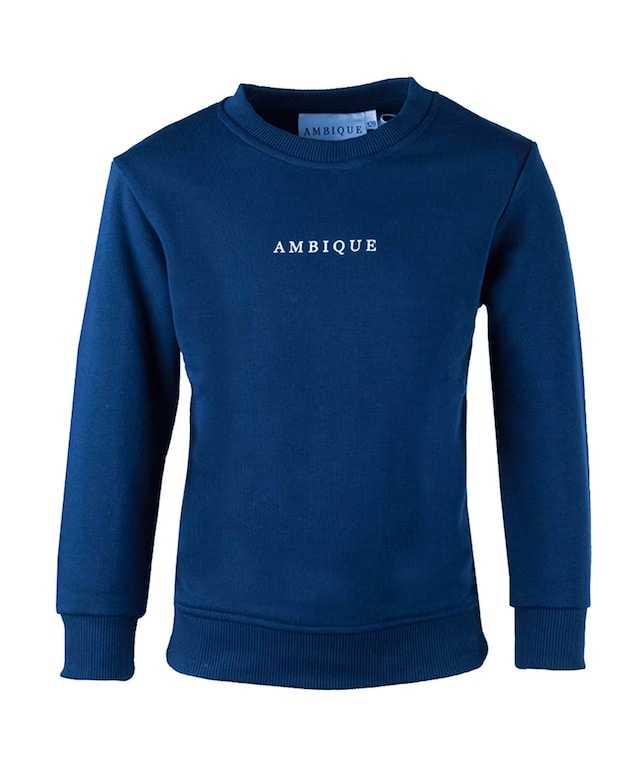 Sweater blauw