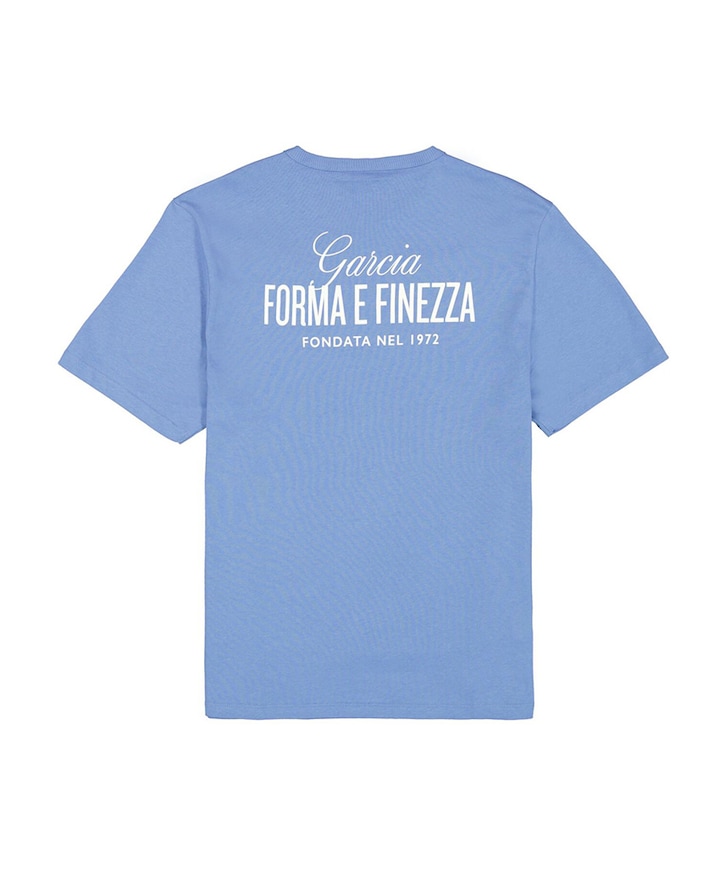 Heren T-shirt blauw