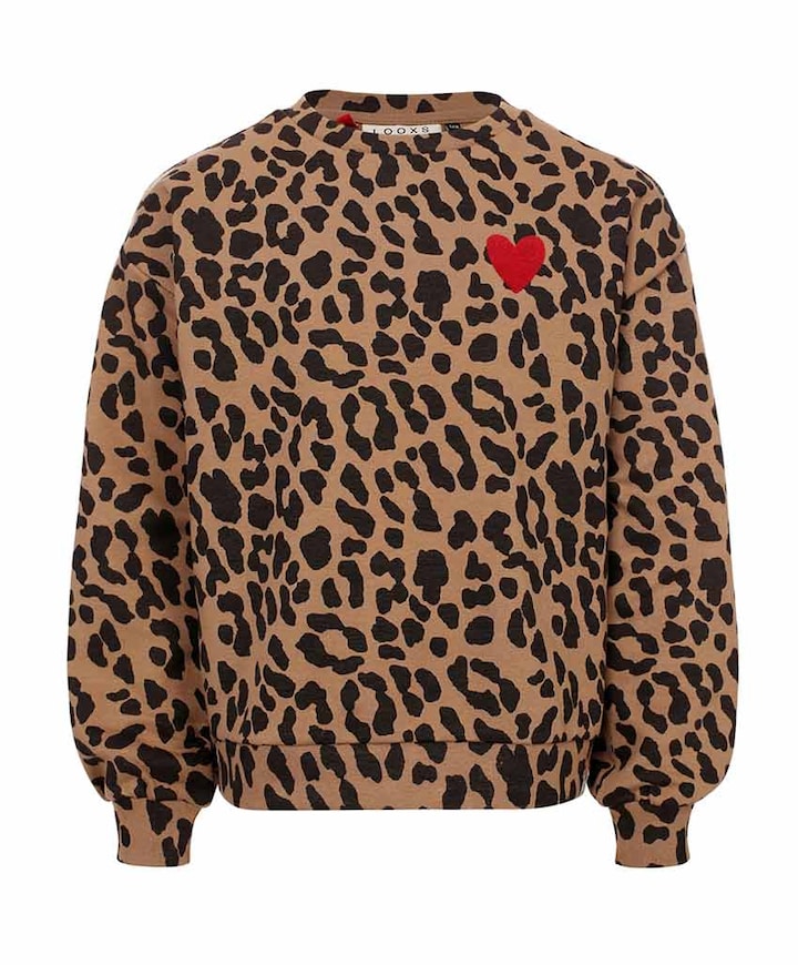 Meisjes sweater bruin
