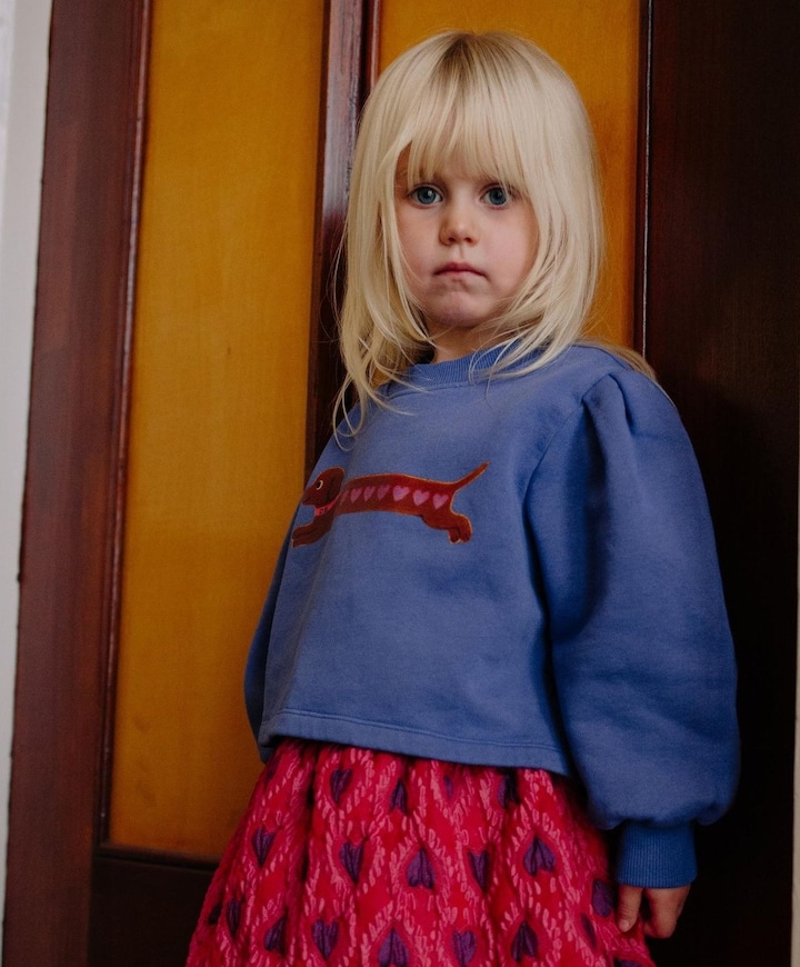 Meisjes sweater paars