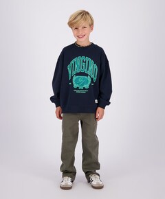 Jongens sweater blauw