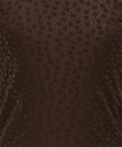 Meisjes longsleeve bruin