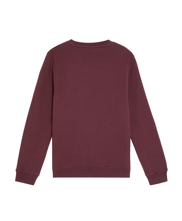 Jongens sweater bordeaux