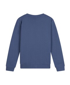 Sweater blauw