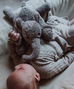 Hartslagknuffel olifant grijs