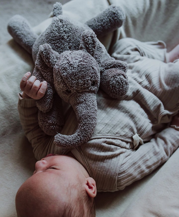 Hartslagknuffel olifant grijs