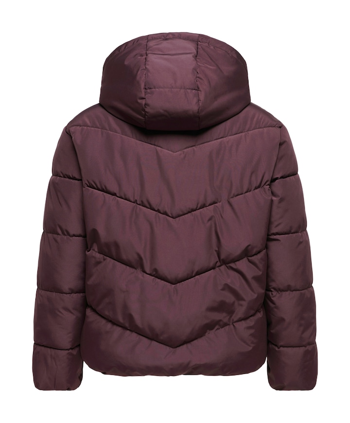 Dames jas bordeaux