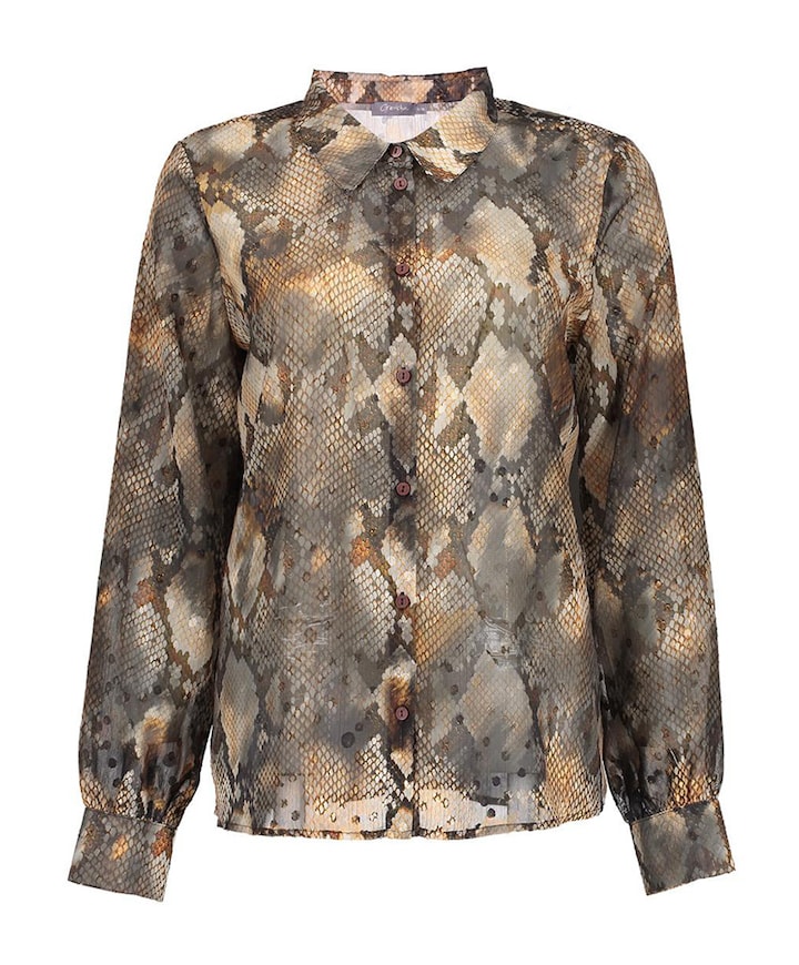 Blouse bruin