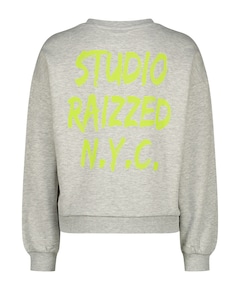 Sweater grijs