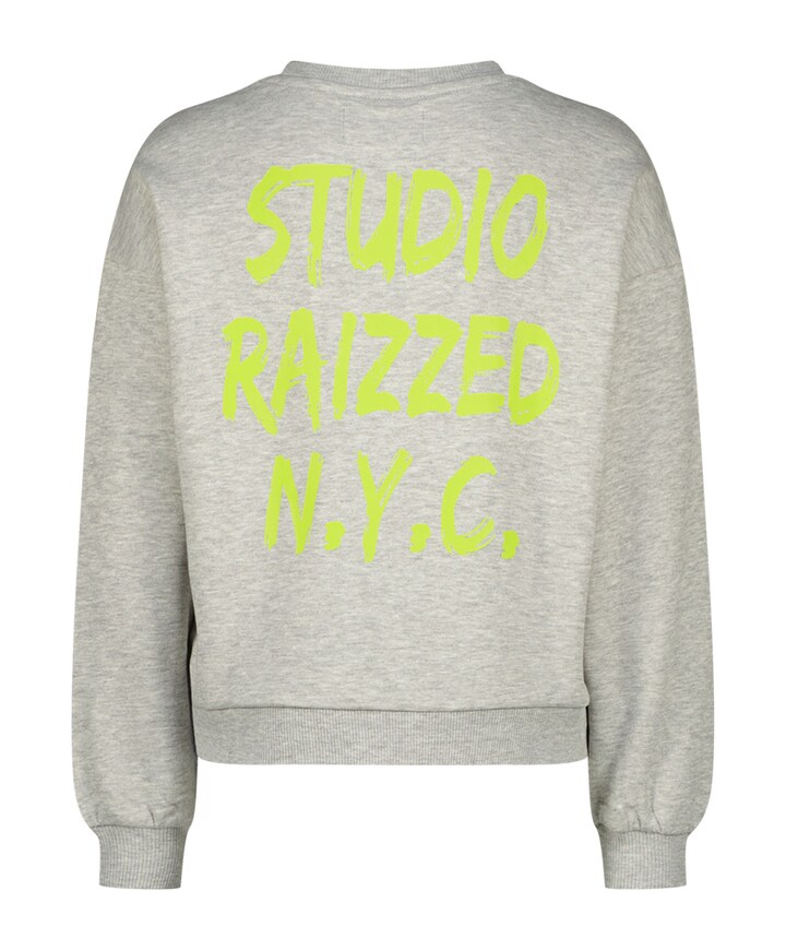 Sweater grijs