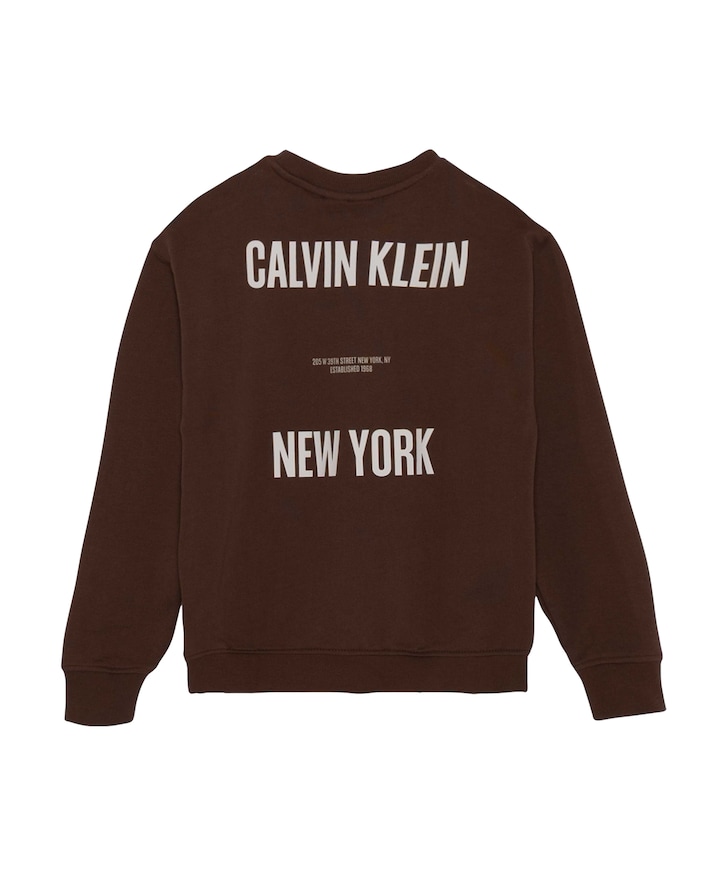 Jongens sweater bruin