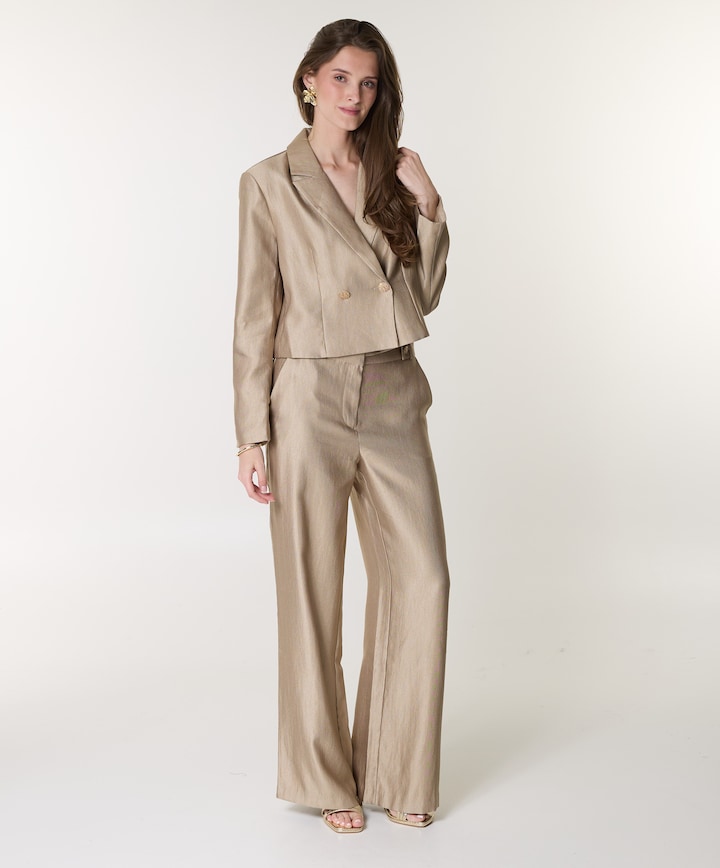 Trouser dames pantalon goud