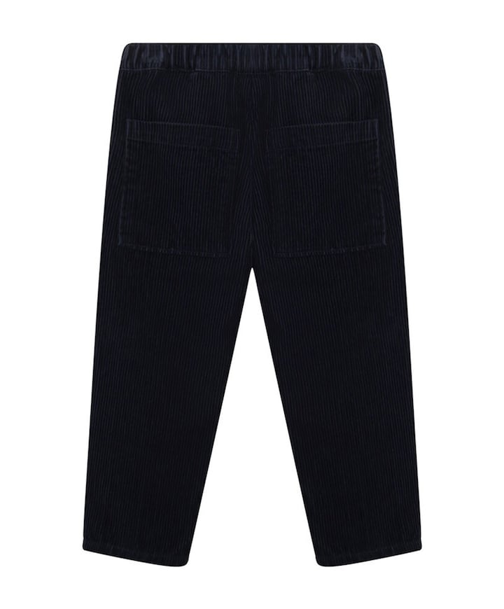 Pants Corduroy jongens broek blauw