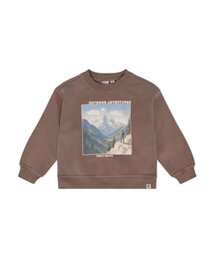 Jongens sweater bruin