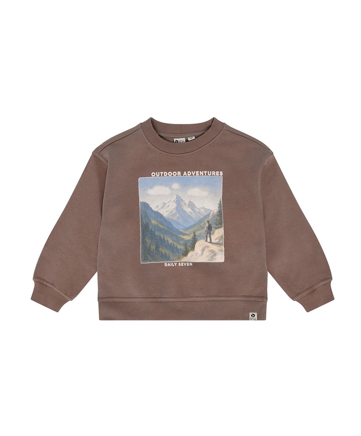 Jongens sweater bruin