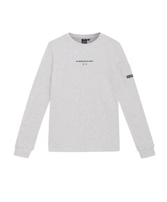 Jongens longsleeve grijs