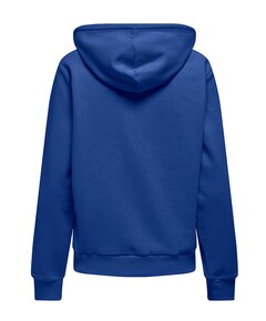 Dames trui blauw
