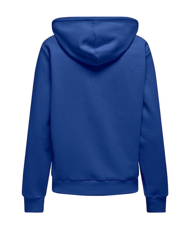 Dames trui blauw
