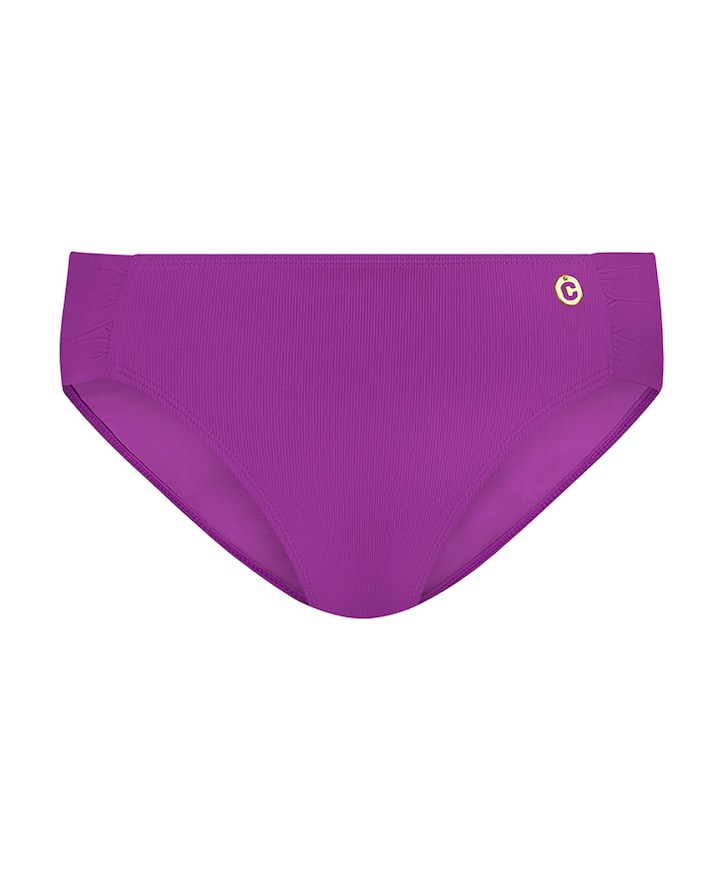 Bikinibroekje paars