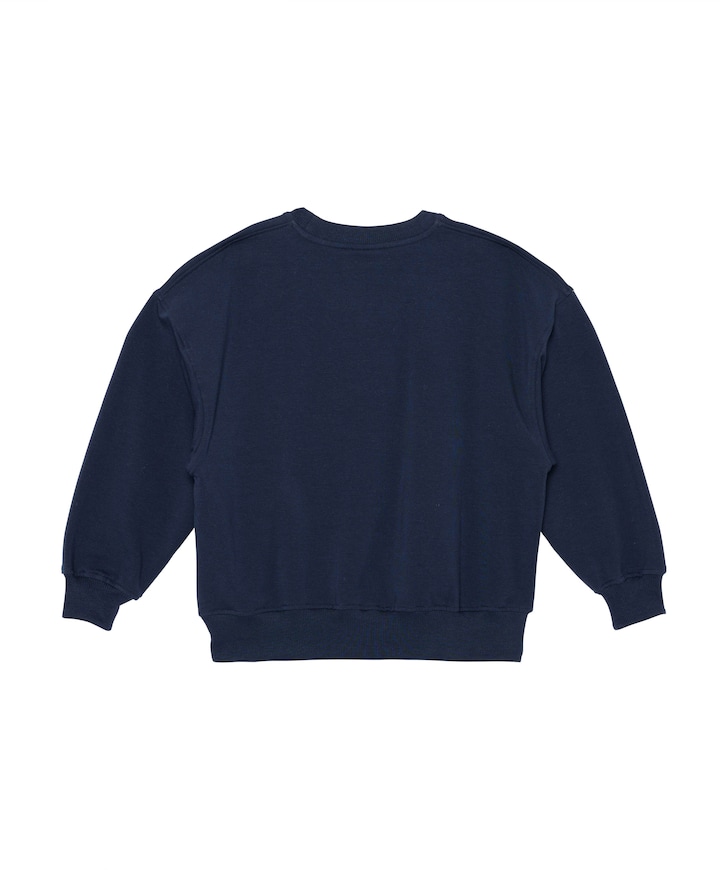 Sweater blauw