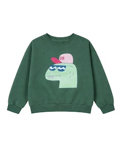 Jongens sweater groen