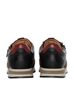 Temple sneakers bruin