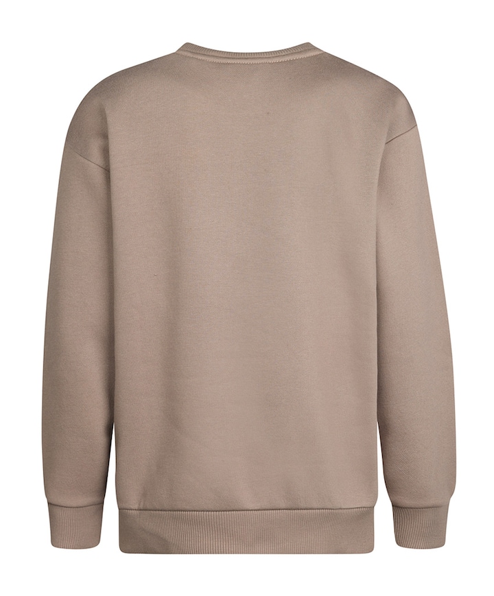 Jongens sweater bruin